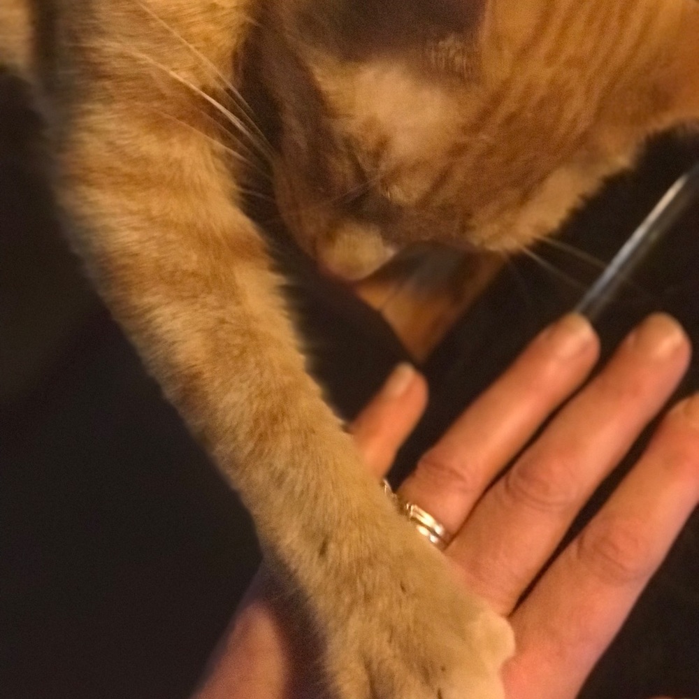 Meet your Posher, Barbara